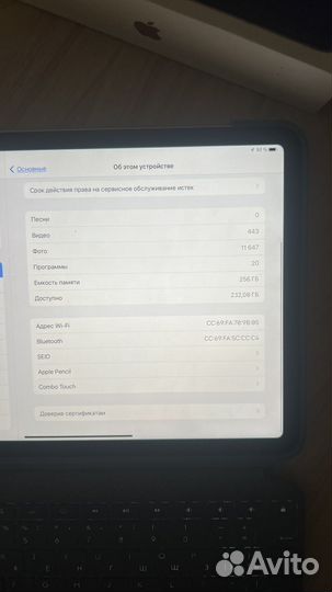 iPad Air 256 Gb Wi Fi + Apple Pencil 2 Generation