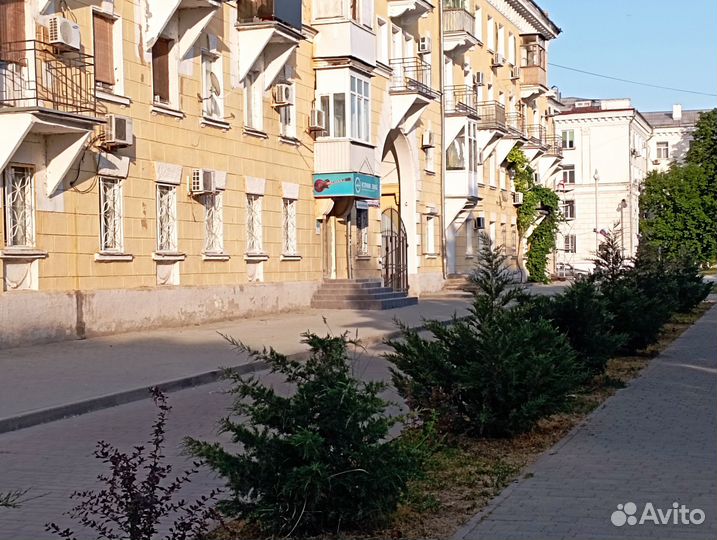 Новые акустические гитары