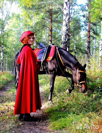 Амуниция для лошади