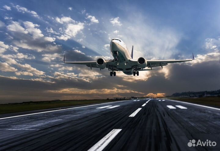 Сортировщик вахта 15 \ 15