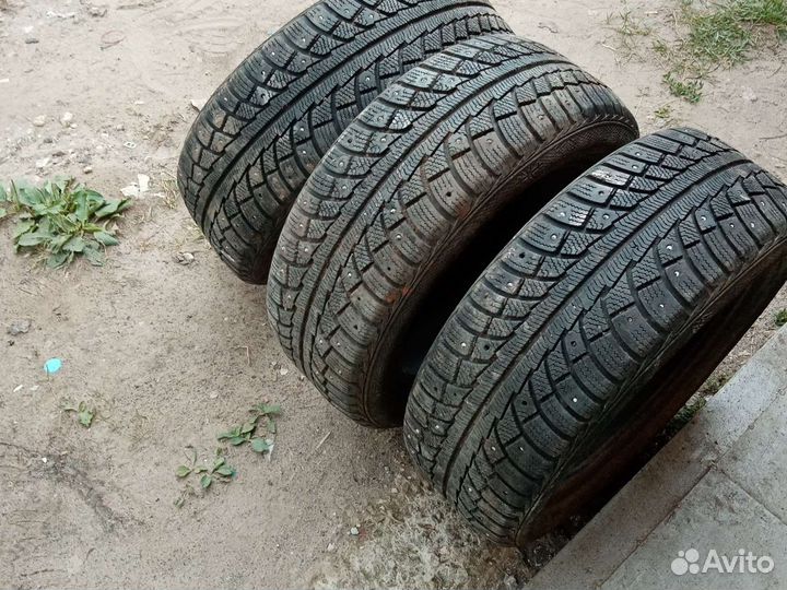 Gislaved Nord Frost 5 195/55 R15