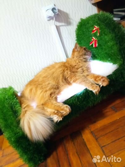 Топиарий садовый