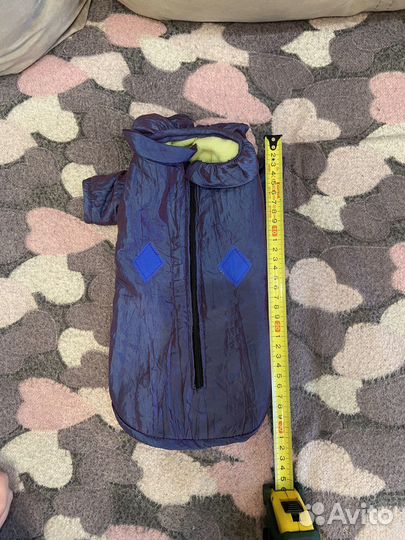 Одежда для маленьких собак