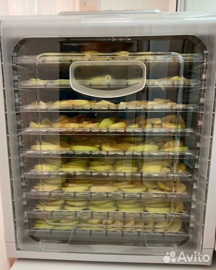 Дегидратор kitfort