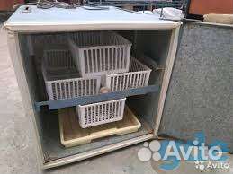 Ремонт и модернизация инкубаторов