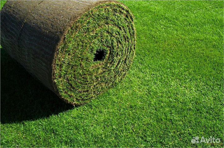 Рулонный газон. Озеленение участка под ключ
