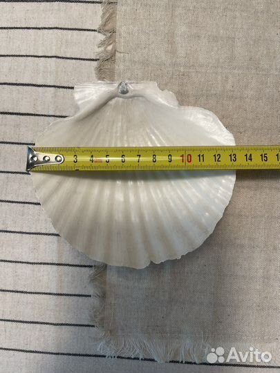 Ракушка для закусок, украшений