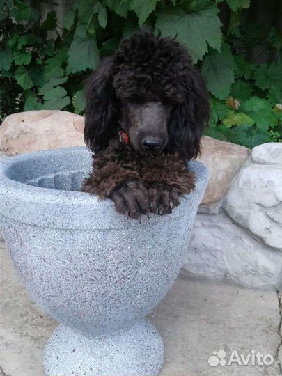 Вазон из бетона