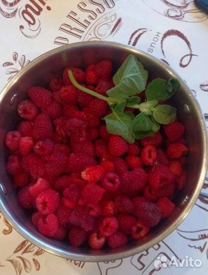 Ремонтантная малина