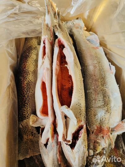 Стейки форели