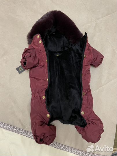 Комбинезон для собак мелких пород (девочка)