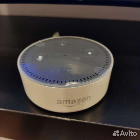 Amazon Ehodot, колонка