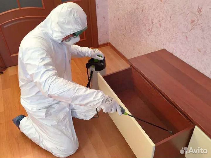 Дезинфекция от тараканов от клопов