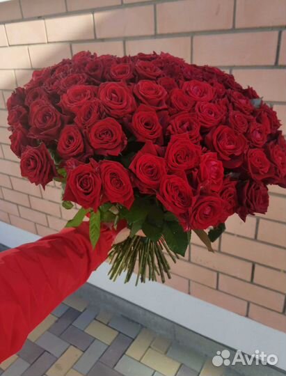 Букет цветов. Розы 101 шт