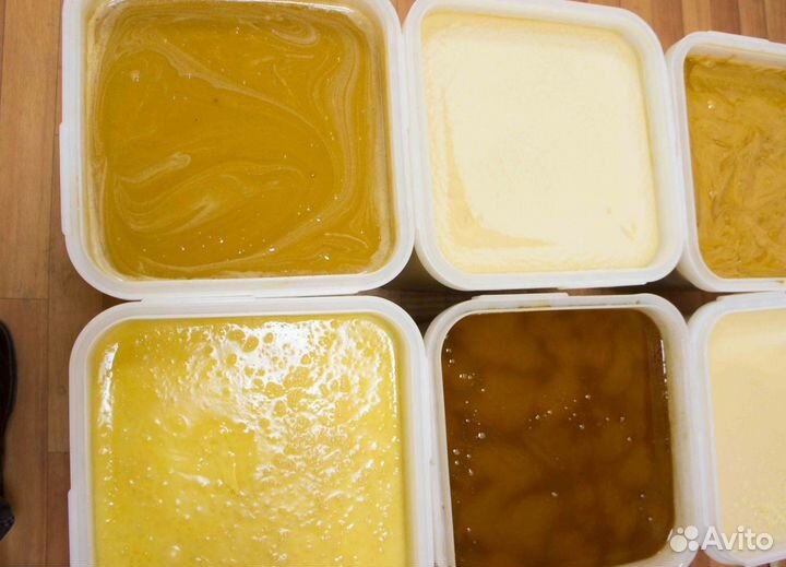 2024 Мёд натуральный с Алтая оптом