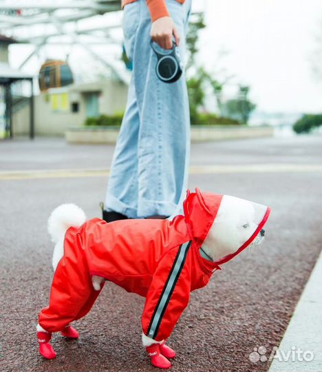 Новый дождевик для собак