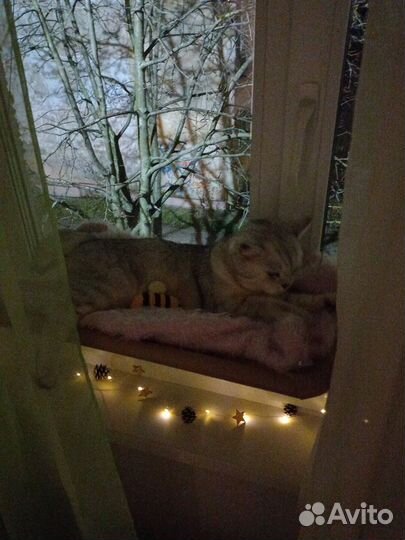 Гамак-полка для кошек