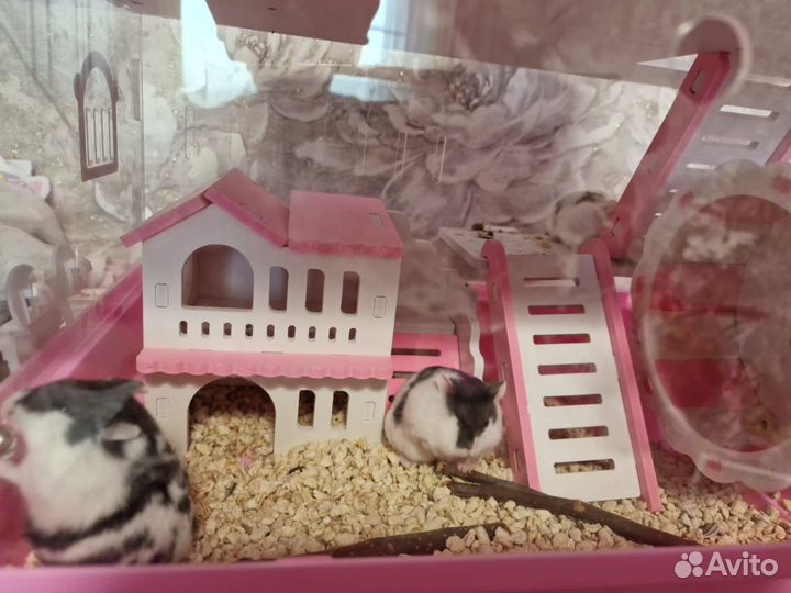 Уникальный домик для грызунов (хомяков, мышек)