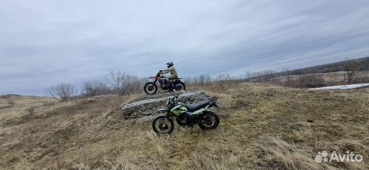 Рейсер Пантера 300