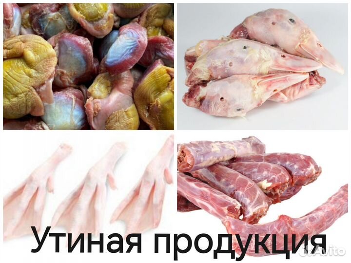 Мясо фарш говядина утка корм для собак