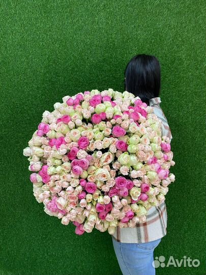 Цветы розы букеты 25/510/101 роза Брянск