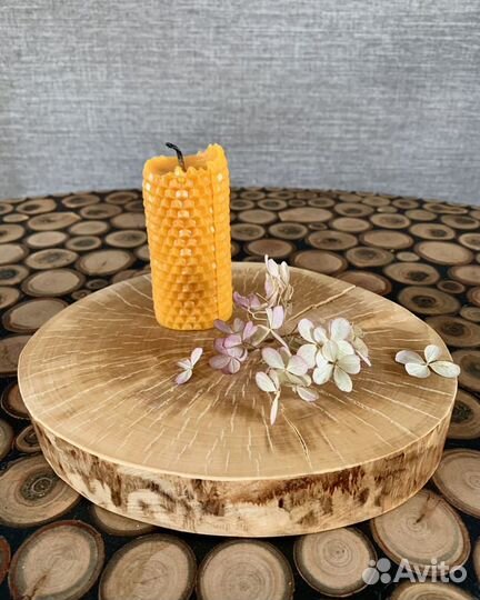 Спилы березовые