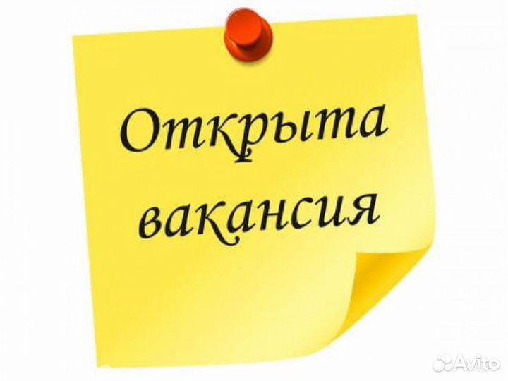 Продавец консультант