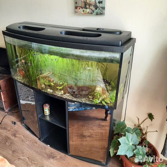 Продажа аквариума