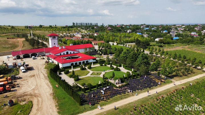 Съемка с квадрокоптера и видеомонтаж