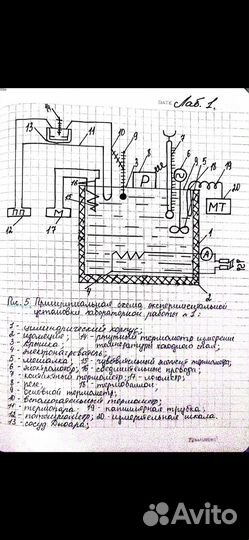 Напишу лекции/конспекты