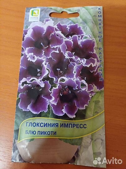 Глоксиния цветущая