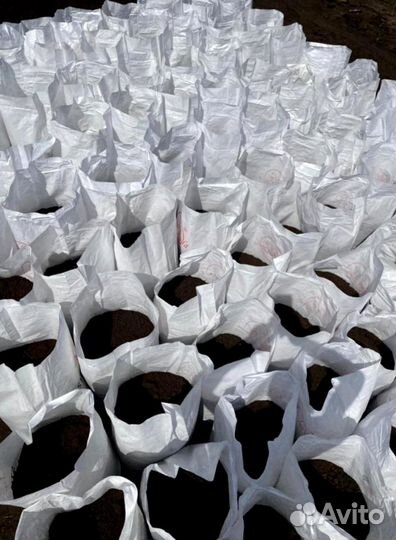 Навоз с доставкой