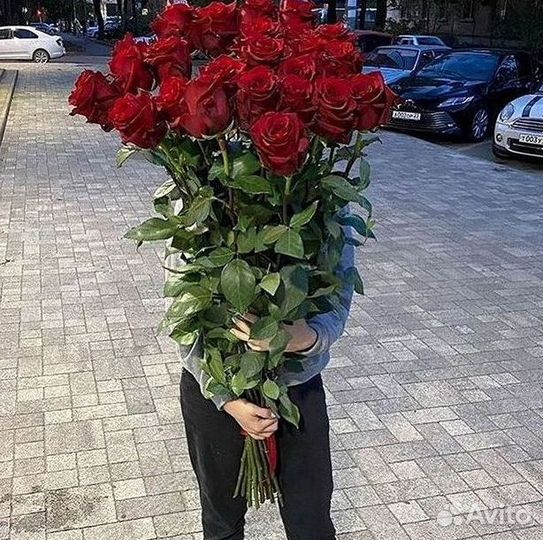 Высокие розы