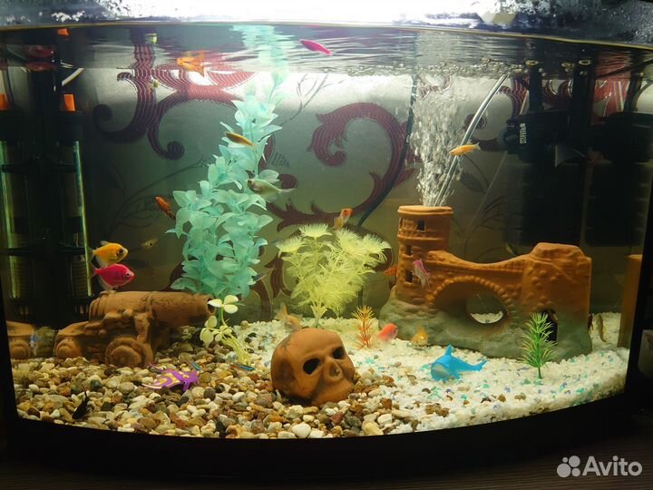 Аквариум с рыбками