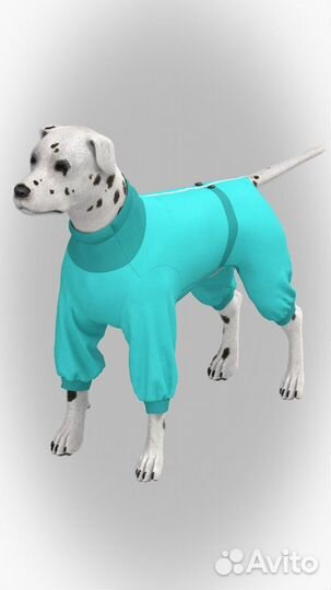 Одежда для собак. Любых размеров и цветов