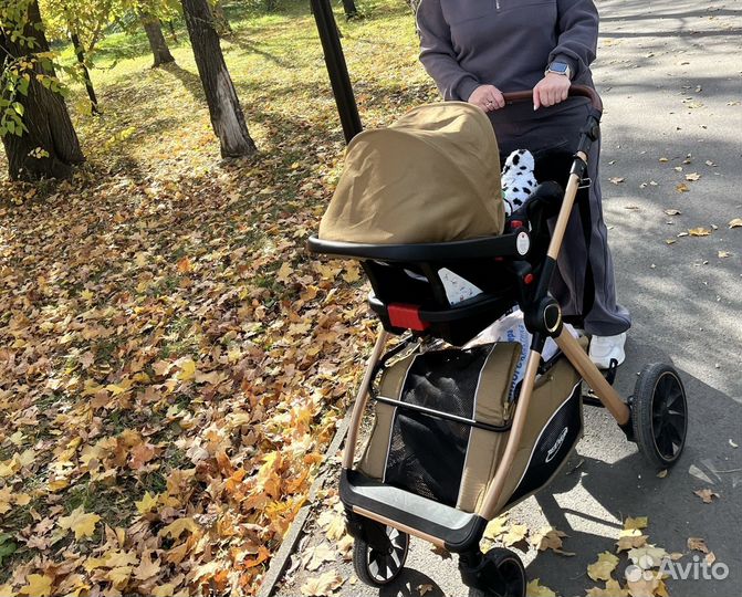 Коляска 3 в 1