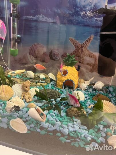 Аквариум с рыбками