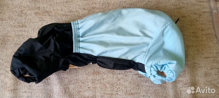 Костюм для собаки