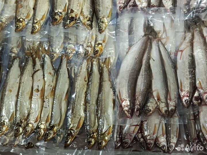 Рыба свежемороженая