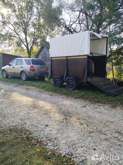 Коневоз Перевозка животных и спорт инвентаря