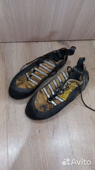 Скальные туфли