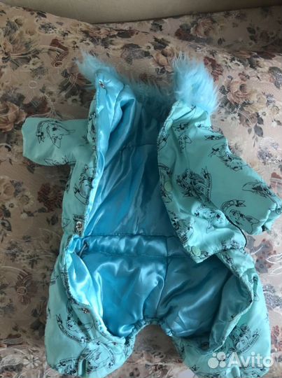 Костюм для собаки