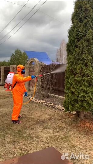 Обработка от клещей