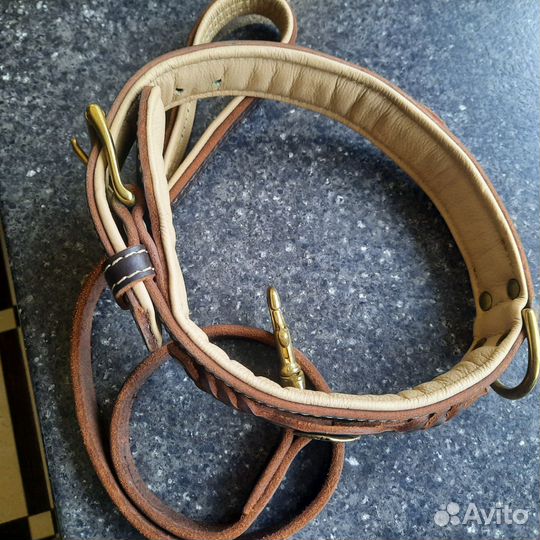 Ошейник для собак