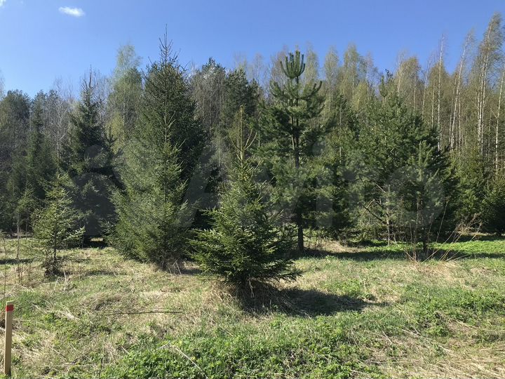 Участок 16,8 сот. (ИЖС)