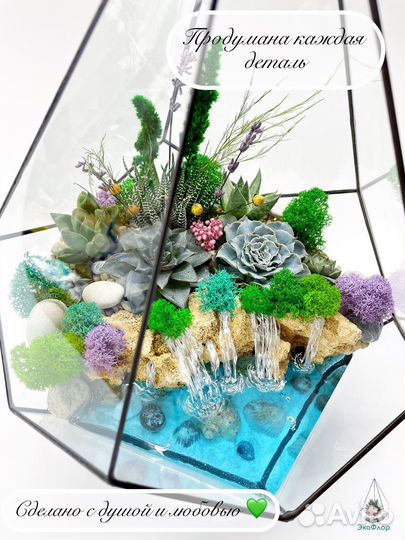 Цветы Флорариум Подарок Суккуленты Декор