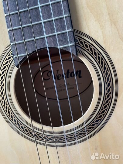 Гитара и чехол