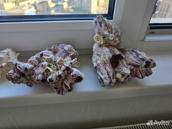 Оформление аквариума