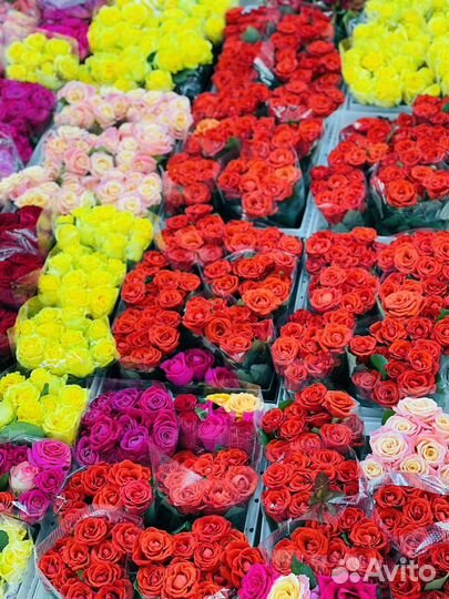 Букеты из 101 розы, 51 розы, 25 роз с доставкой