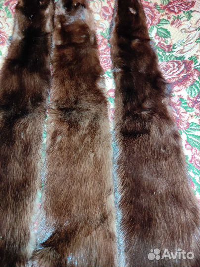 Шкурка животного норка